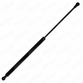 B41064 - GASSPRING