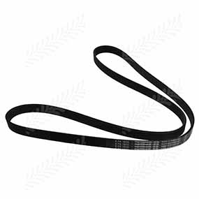 B47323 - RIBBED BELT 