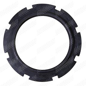 B54570 - CASALATTED NUT