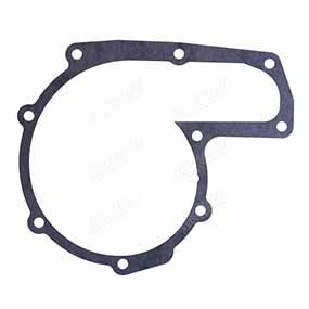 B55237 - Water pump gasket for Case-IH (47107736) and Steyr (162000060713)