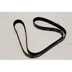 B55625 - RIBBED BELT 