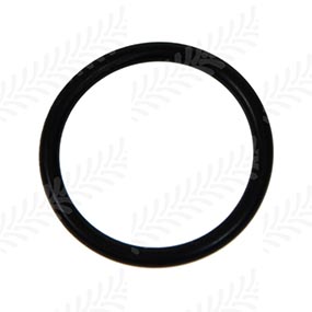 B55822 - O-Ring 24 x 2.5 for Case-IH / Deutz Models