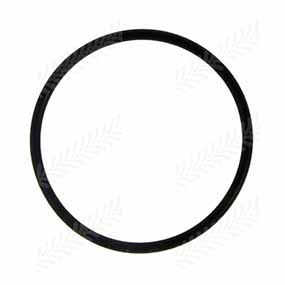 B58716 - O-RING