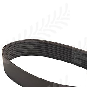 B59133 - RIBBED BELT 
