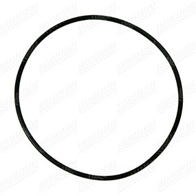 B73105 - PTO O-Ring Seal (359107X1)