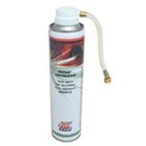 P020181 - Anti-Puncture Spray 300 ml