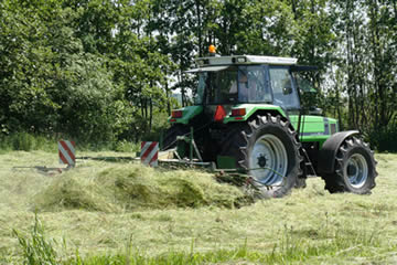Haymaking