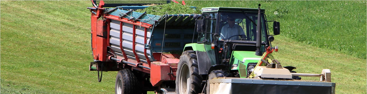 Massey Ferguson Tractor Parts